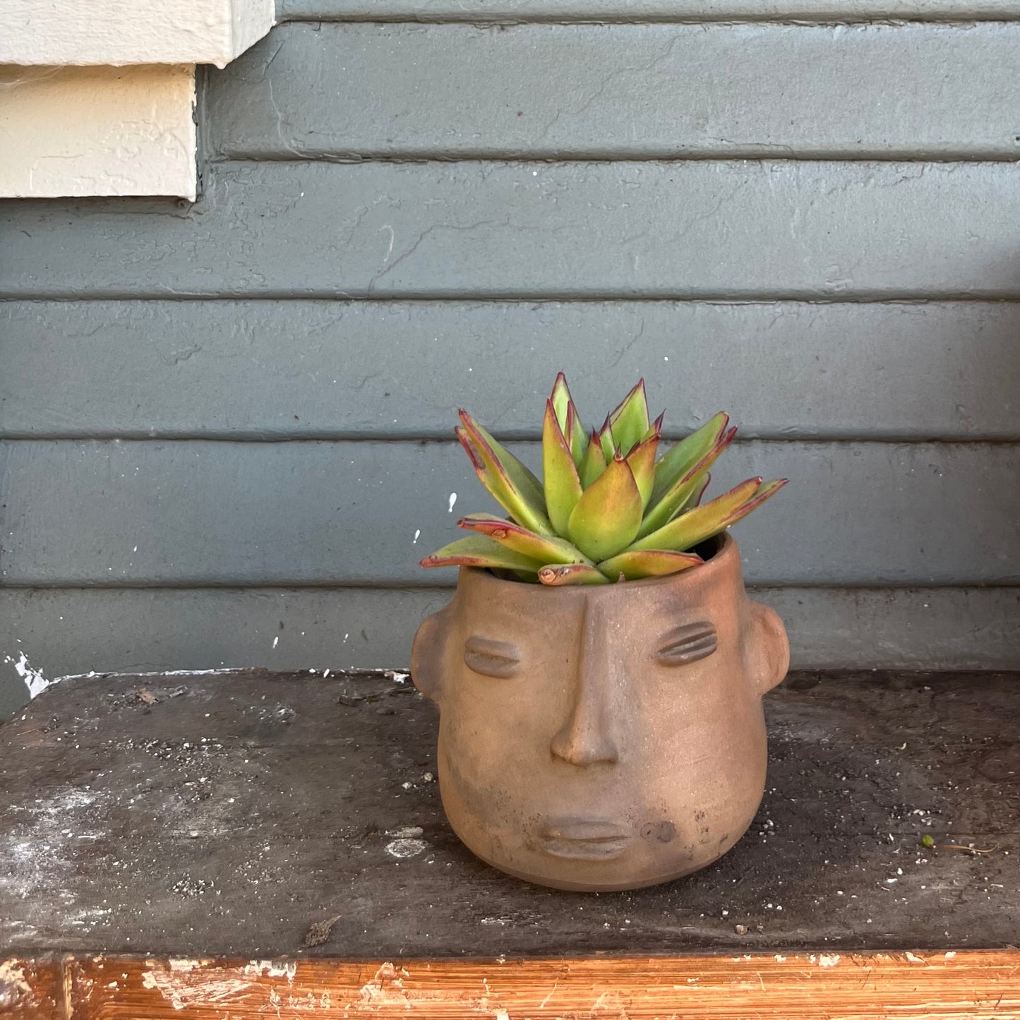 Cara Dormida Plant Pot in Black by Derrumbe