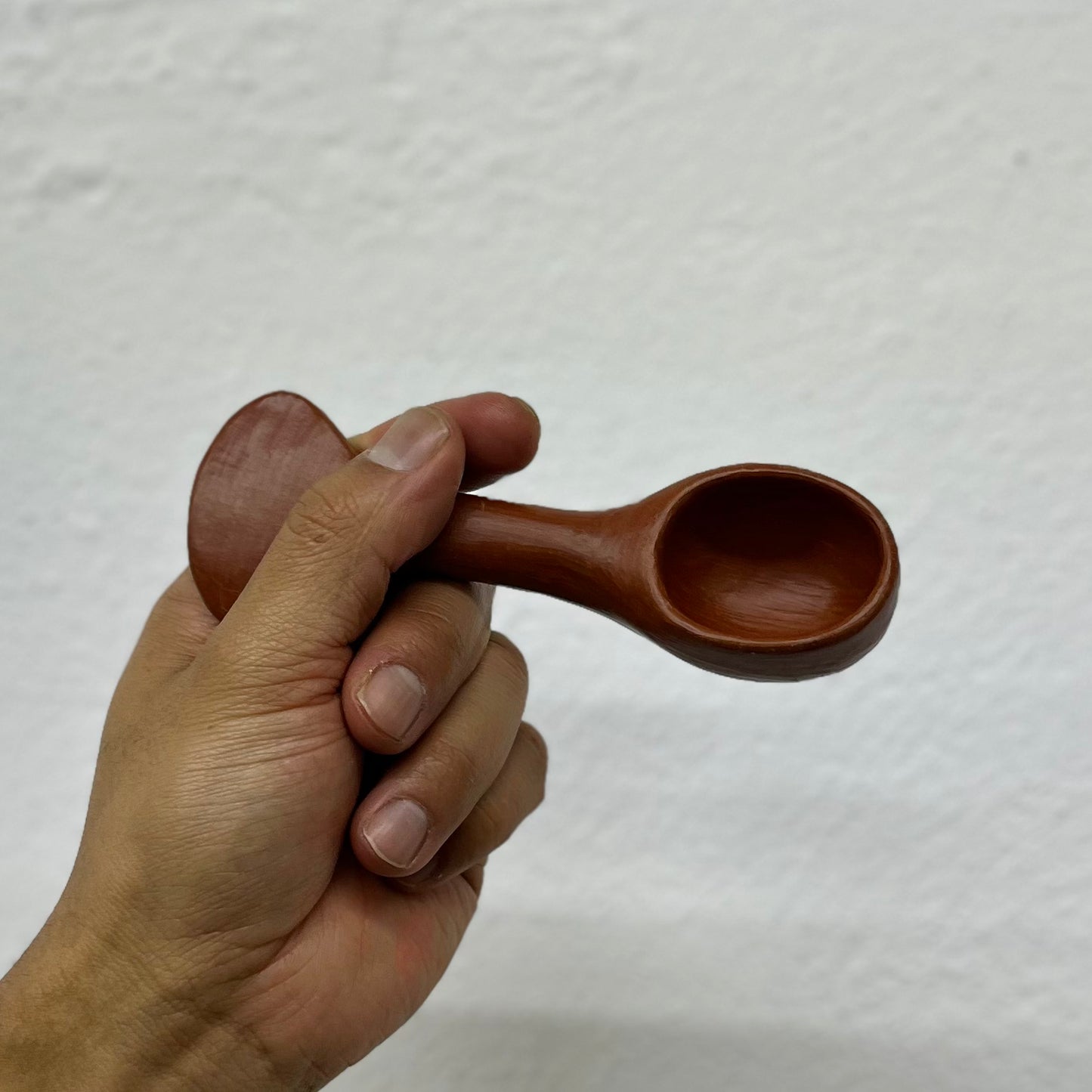 Spoons in Barro Rojo