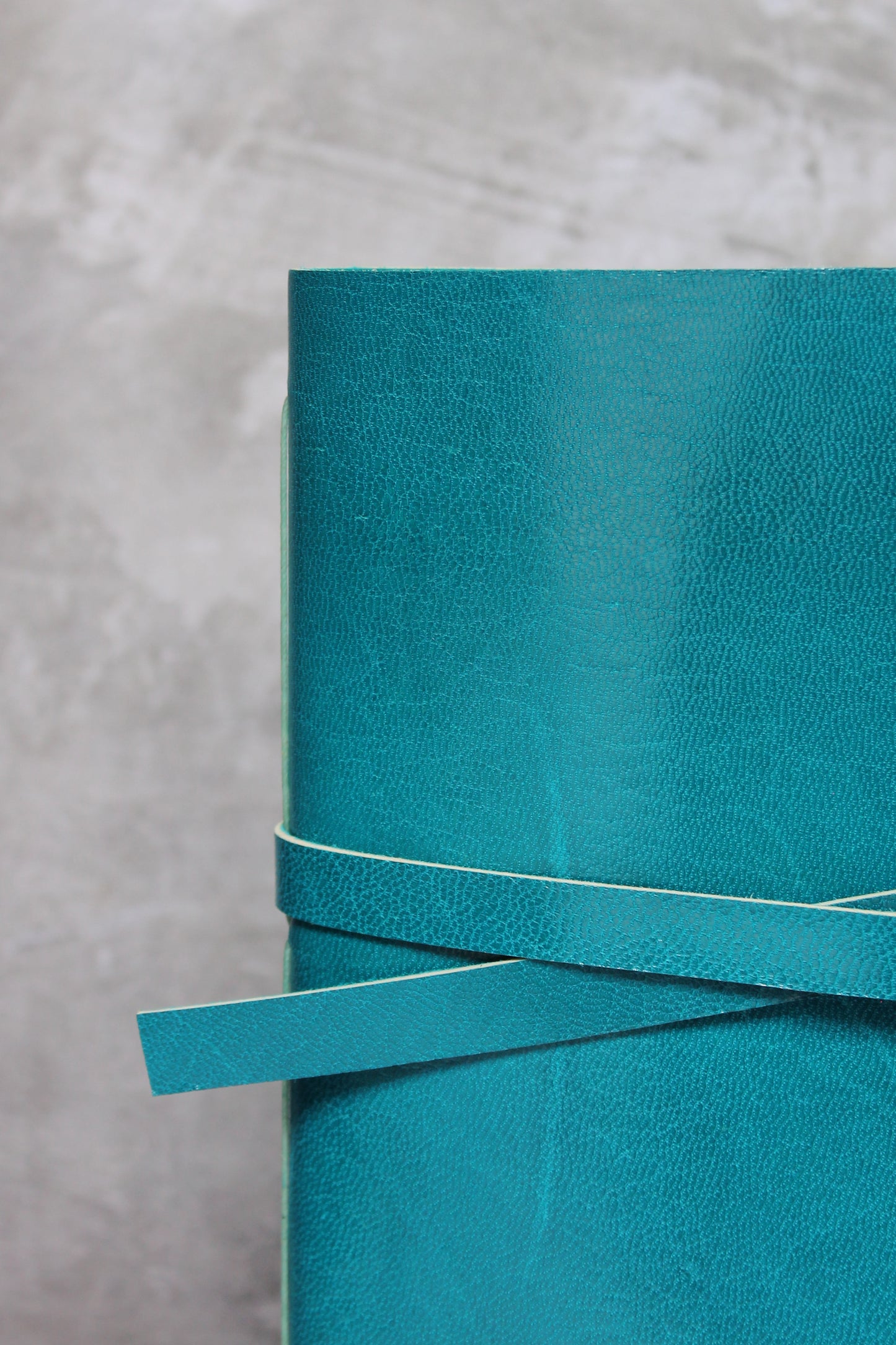 Conejo Zapoteco Teal Sketchbook