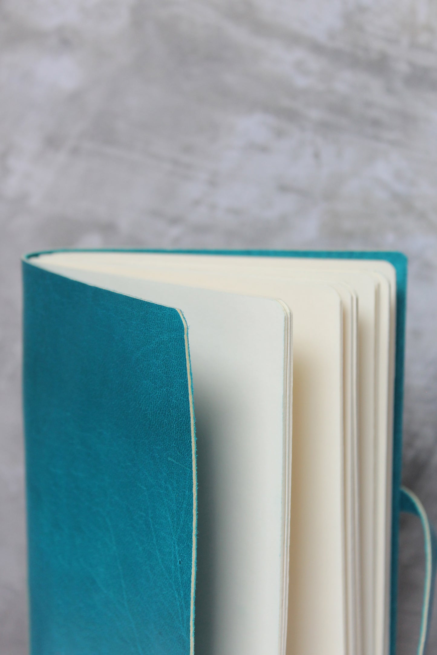 Conejo Zapoteco Teal Sketchbook