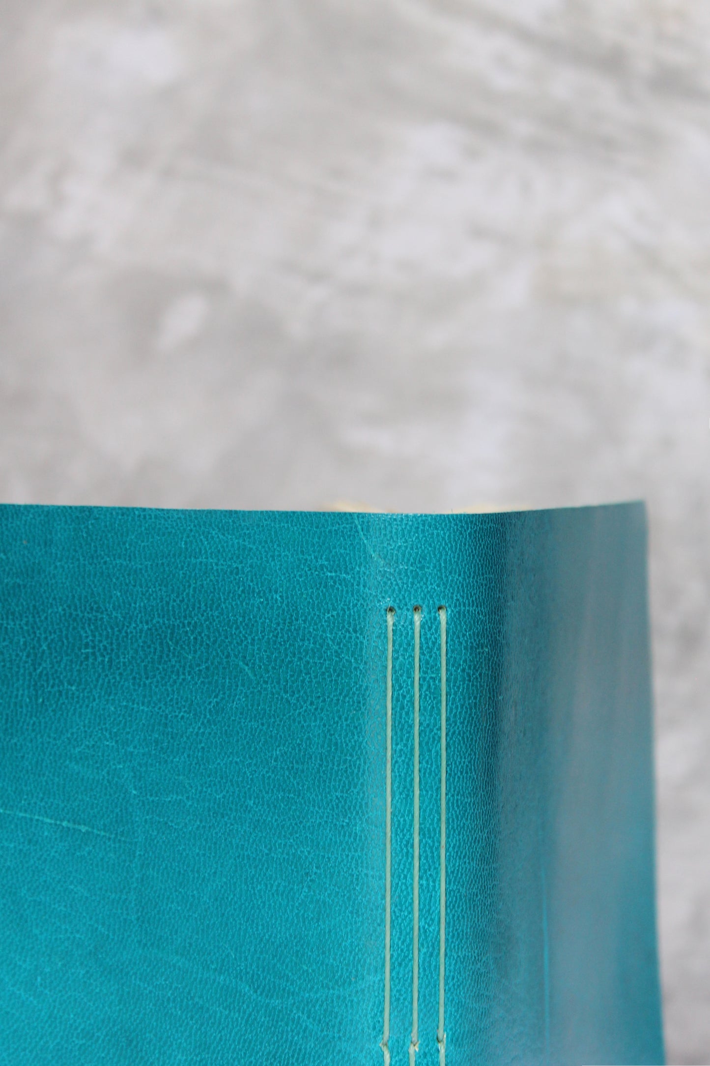 Conejo Zapoteco Teal Sketchbook