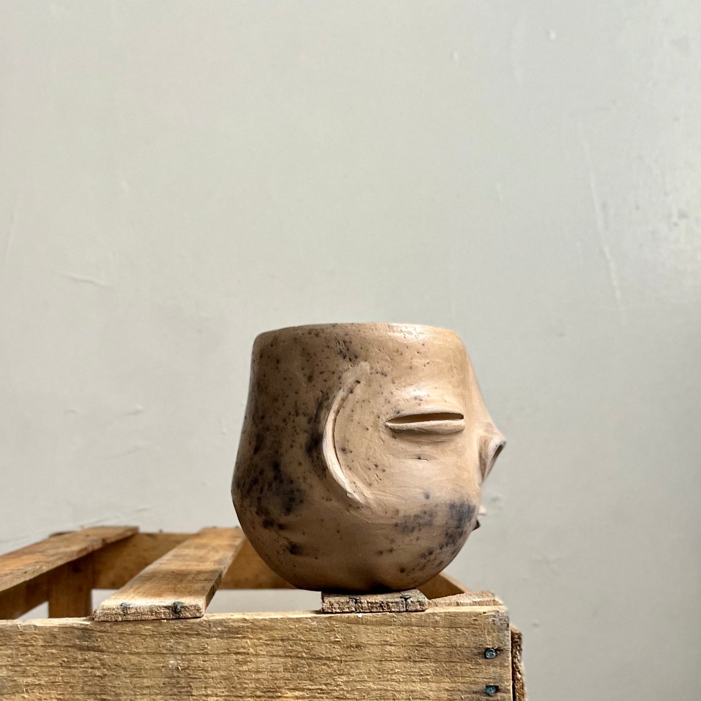 Cara Zapoteca Plant Pot by Taller Coatlicue