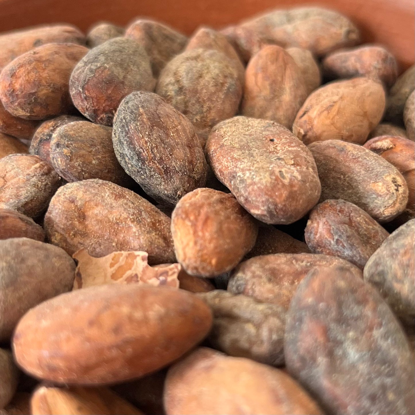 Raw Cacao