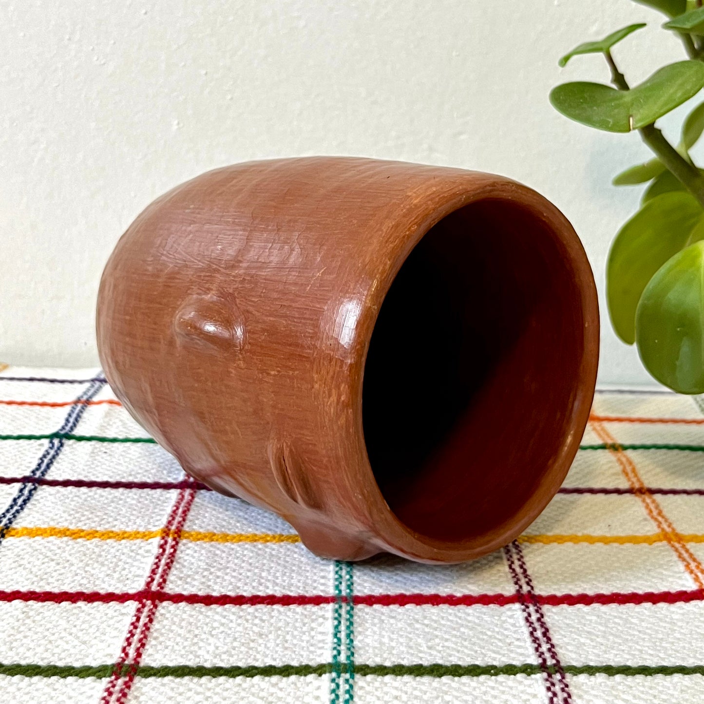 Face Cup Large in Barro Rojo