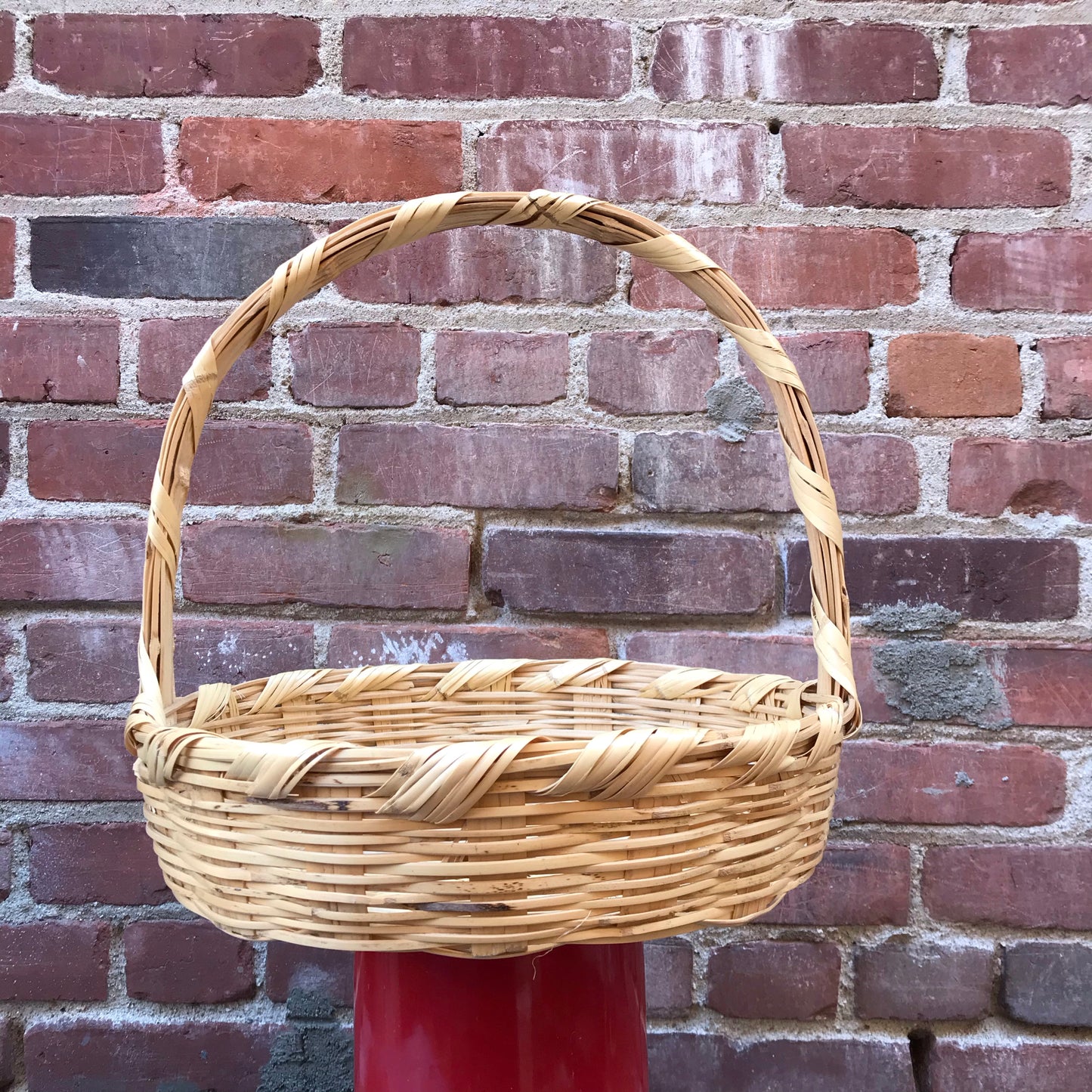 Dried River Reed Carrizo Basket with Handle