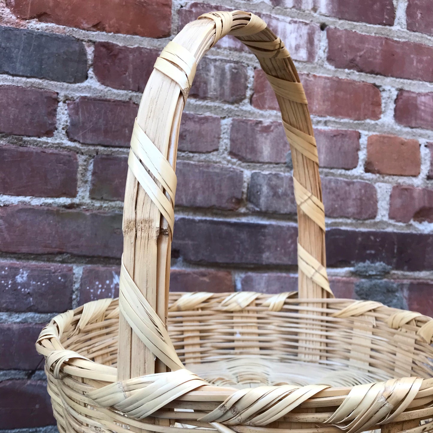 Dried River Reed Carrizo Basket with Handle