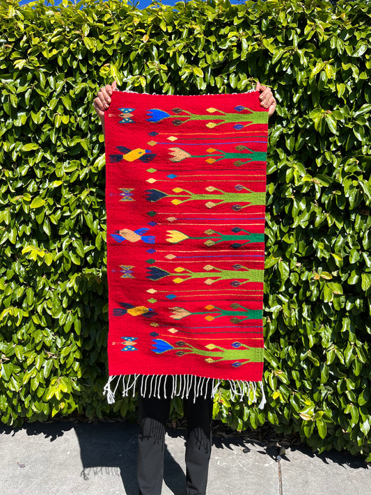 The Zapotec Weavers Birds in Nature Rug