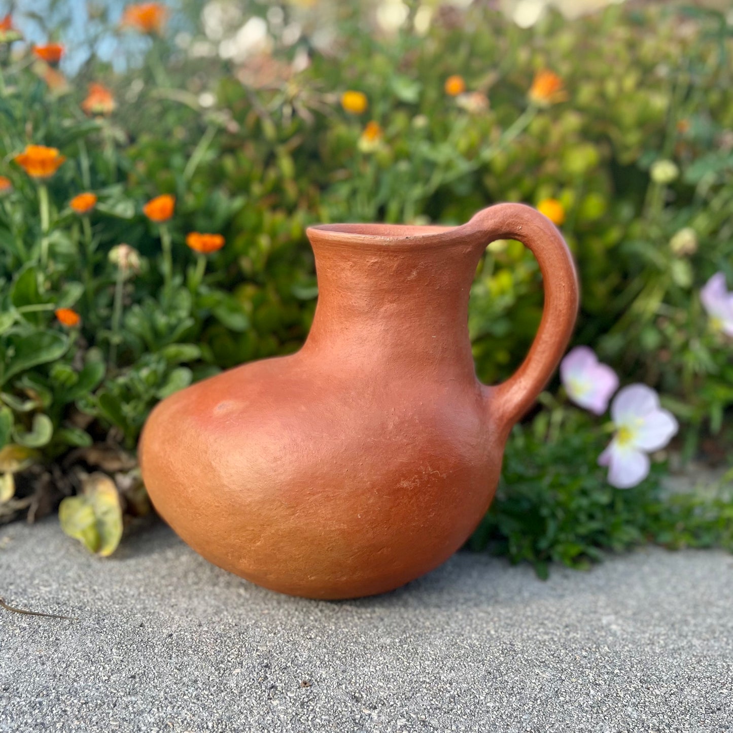 Bean Jar in Barro Rojo