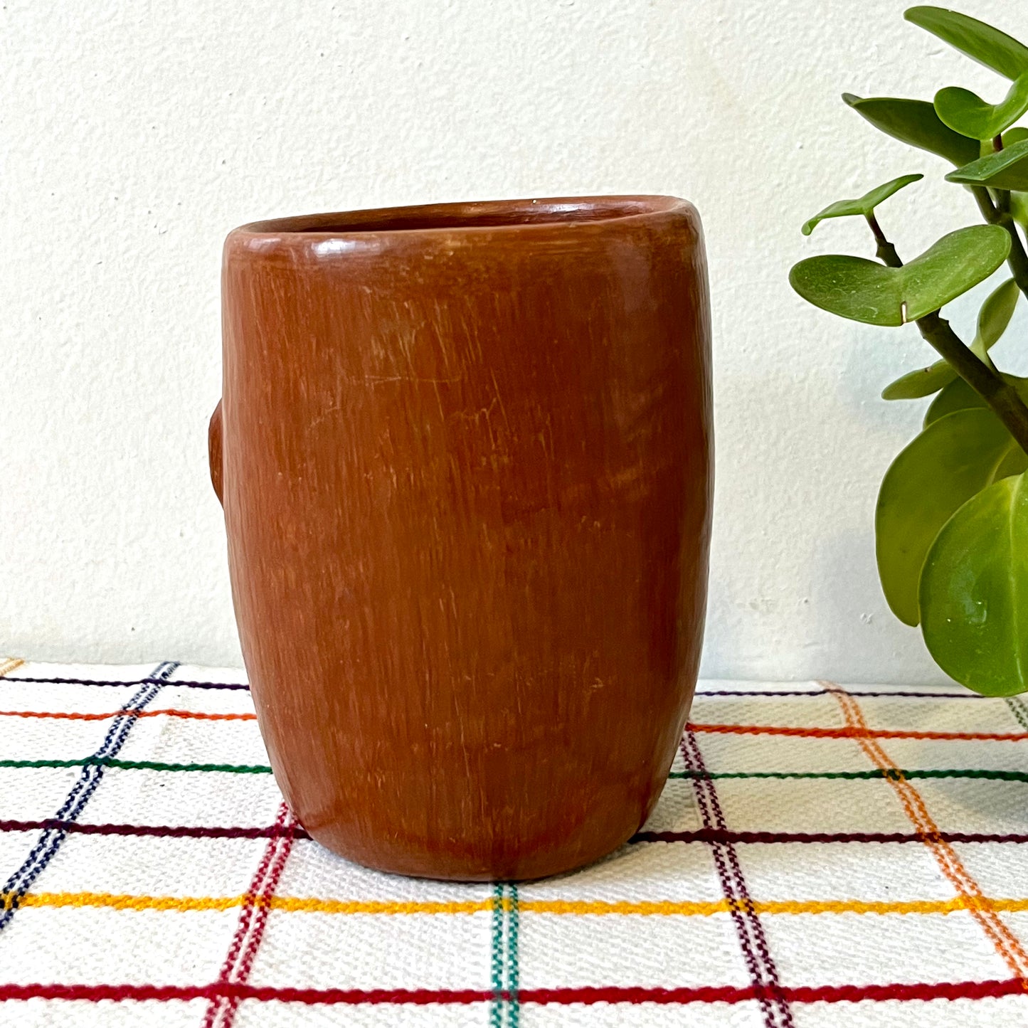 Face Cup Large in Barro Rojo