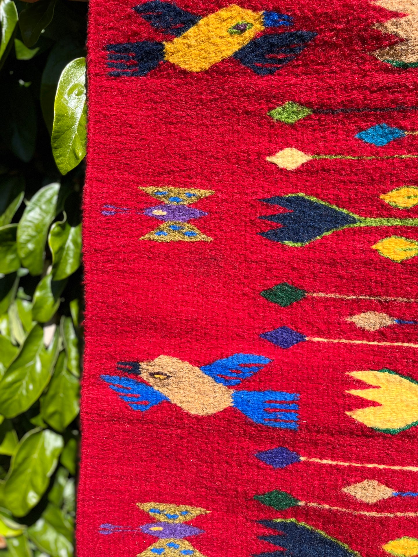 The Zapotec Weavers Birds in Nature Rug