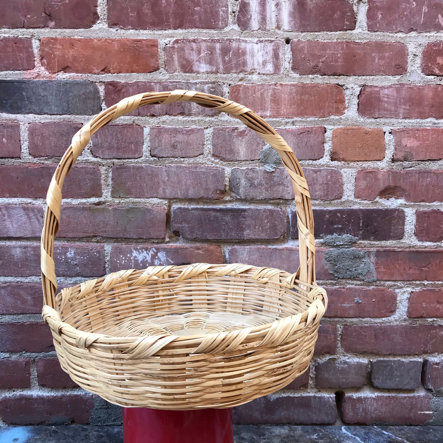 Dried River Reed Carrizo Basket with Handle