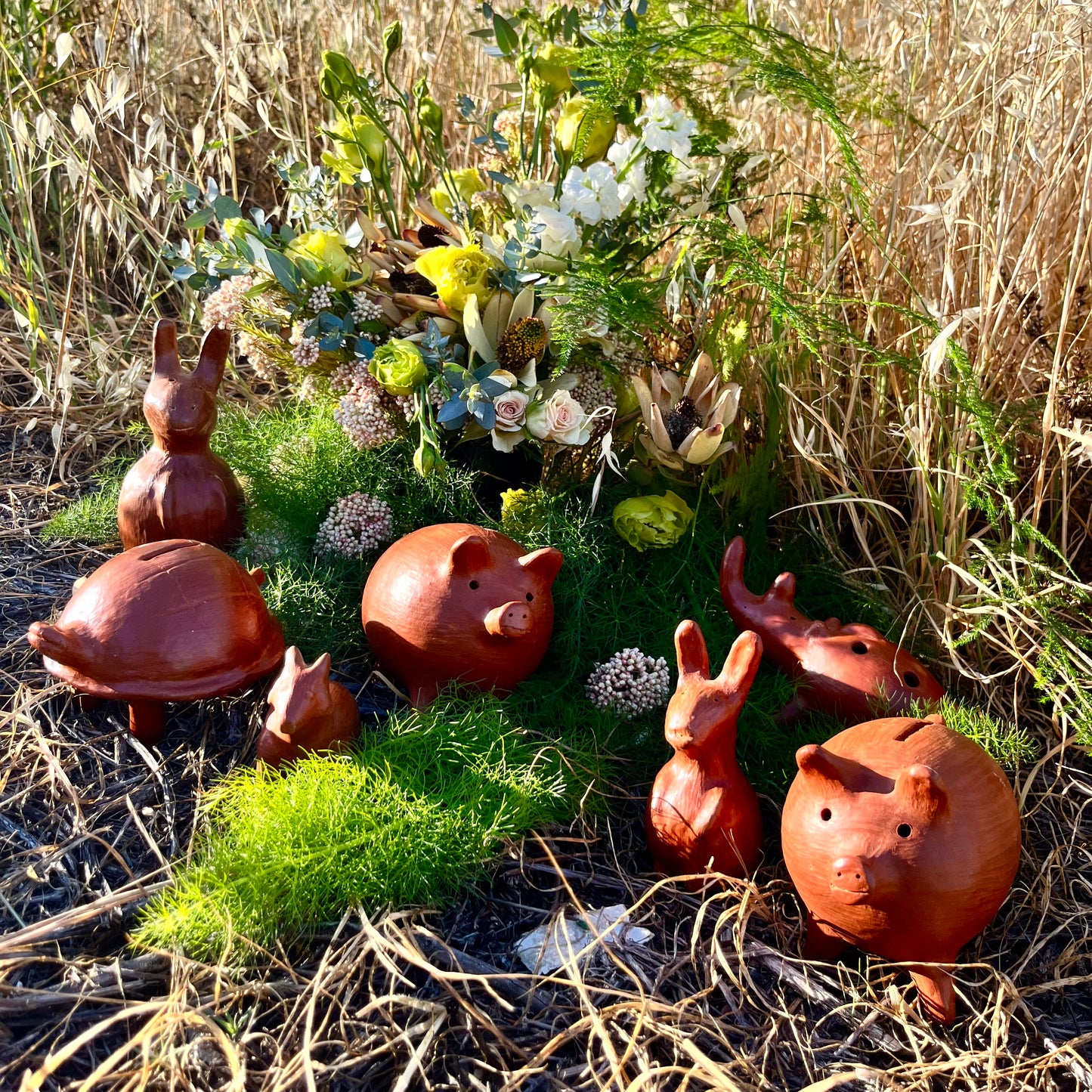 Pig Coin Bank in Barro Rojo