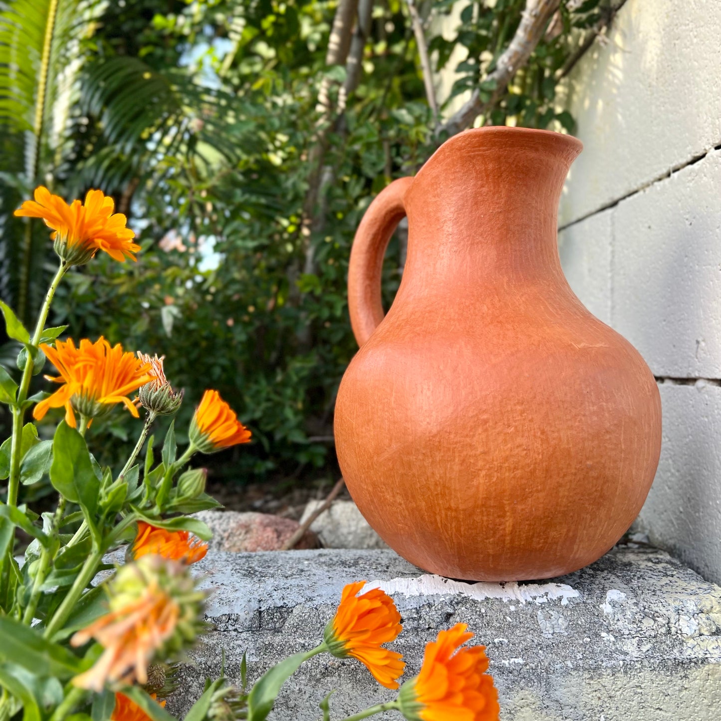 Jarra Pitcher in Barro Rojo