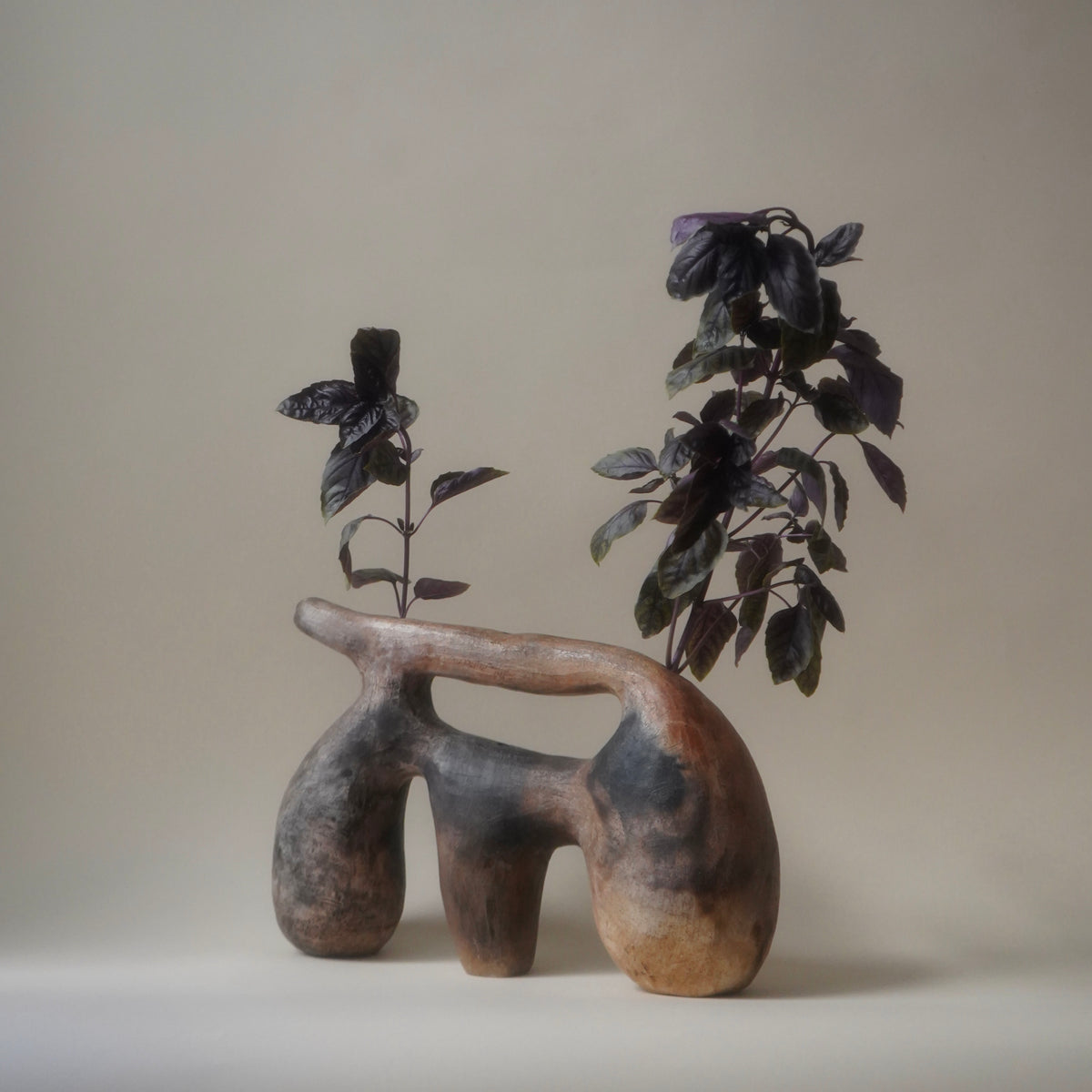 Single Stem Vase by Evelyn Hernandez