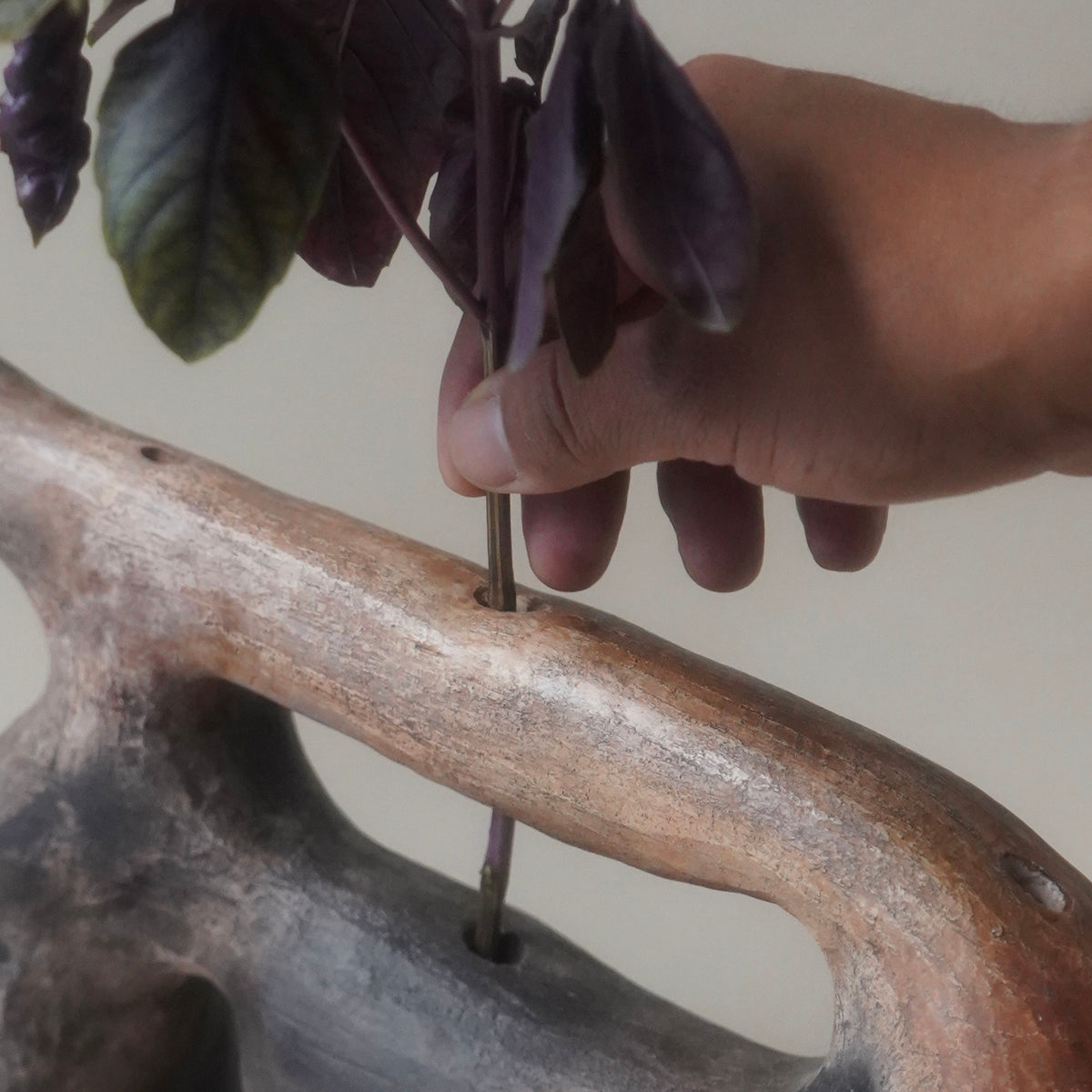 Single Stem Vase by Evelyn Hernandez