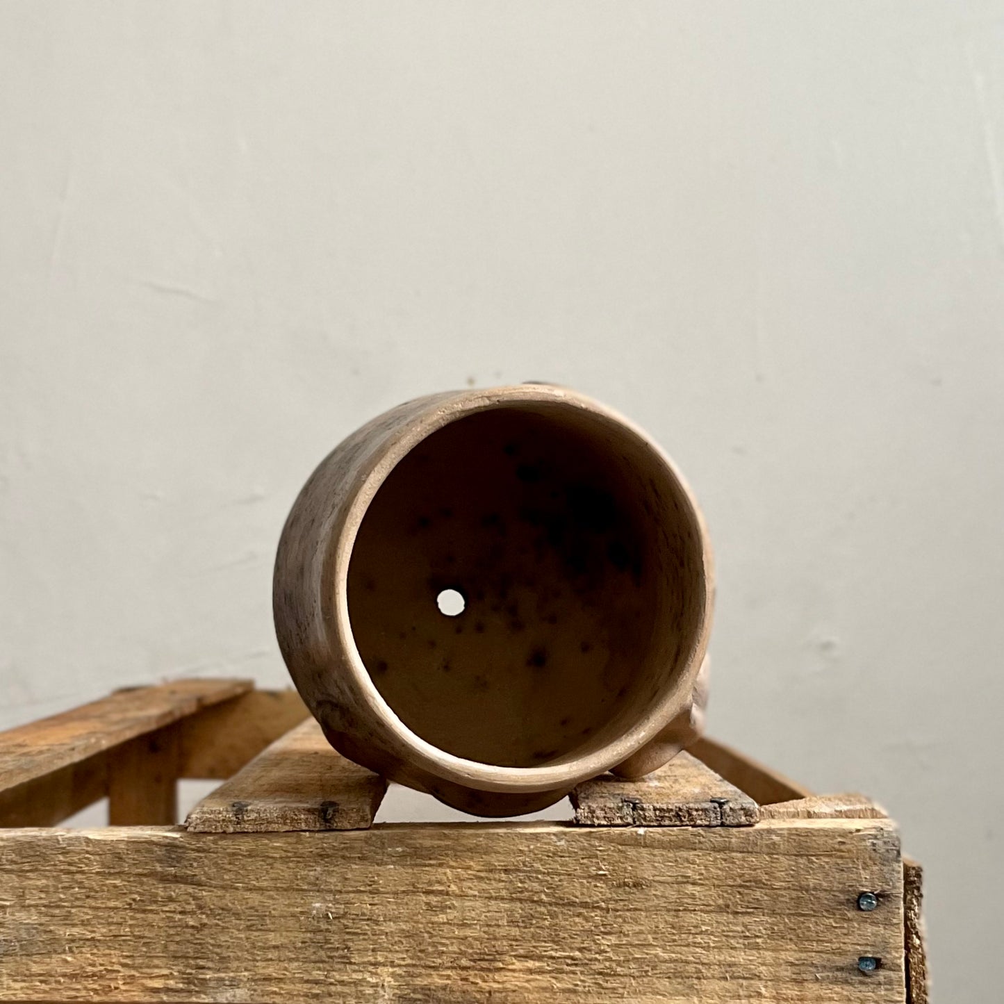 Cara Zapoteca Plant Pot by Taller Coatlicue