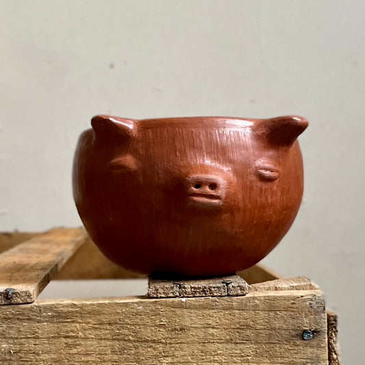 Pig Mug in Barro Rojo