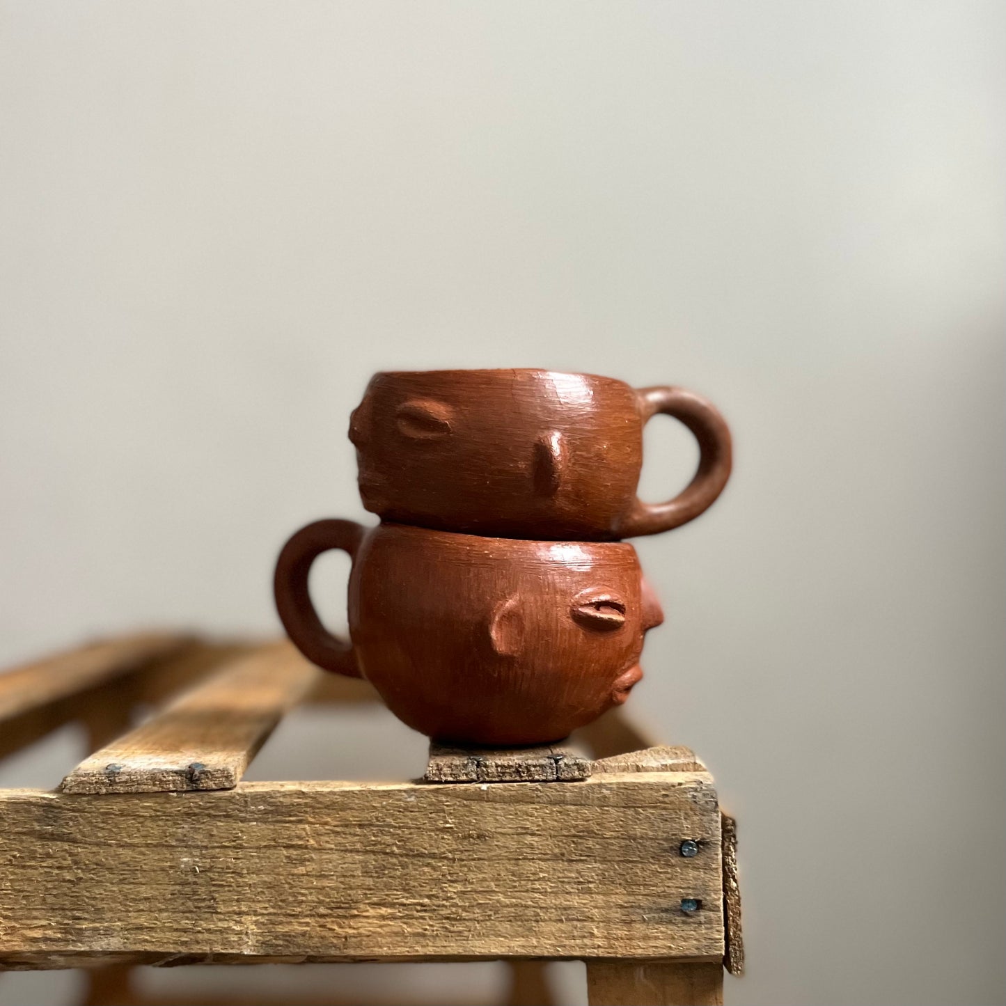 Face Mug in Barro Rojo