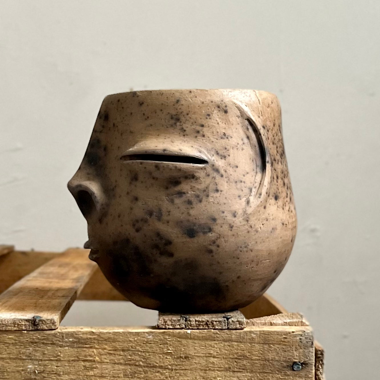 Cara Zapoteca Plant Pot by Taller Coatlicue