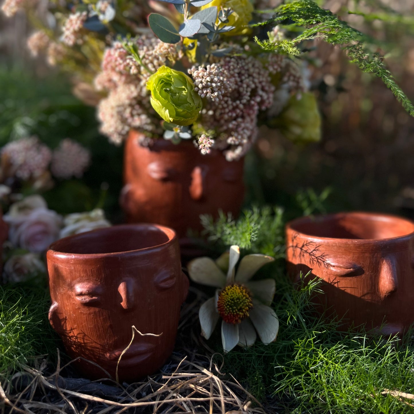 Barro Rojo Small Face Cup