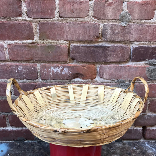 Dried River Reed Carrizo Small Oval Basket with Handles