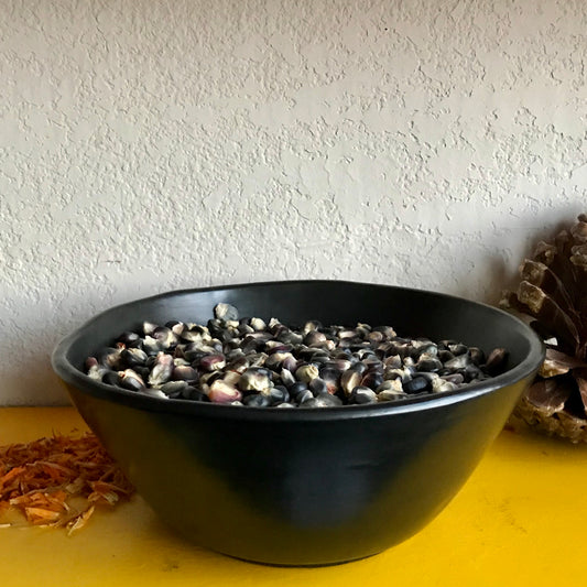 Barro Negro Large Bowl