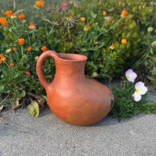 Bean Jar in Barro Rojo