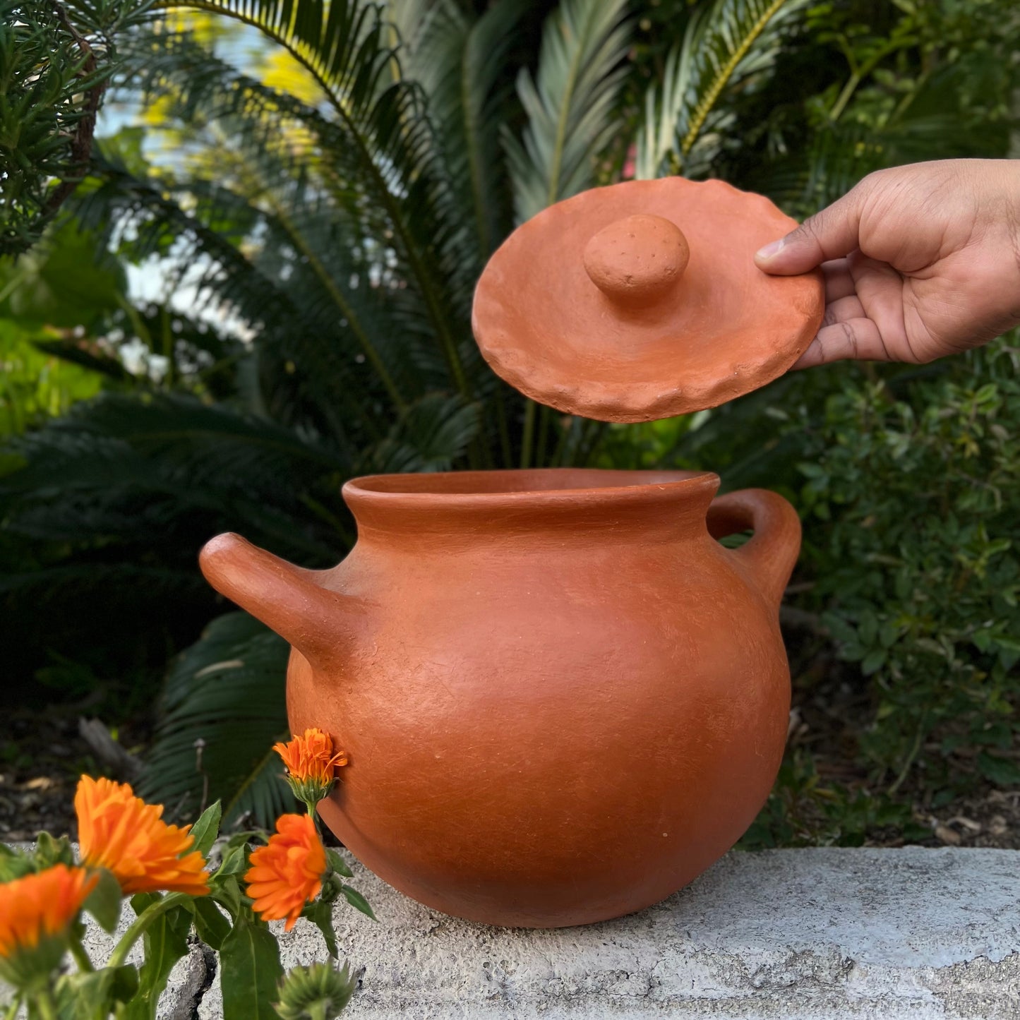 Cazuela with Lid in Barro Rojo