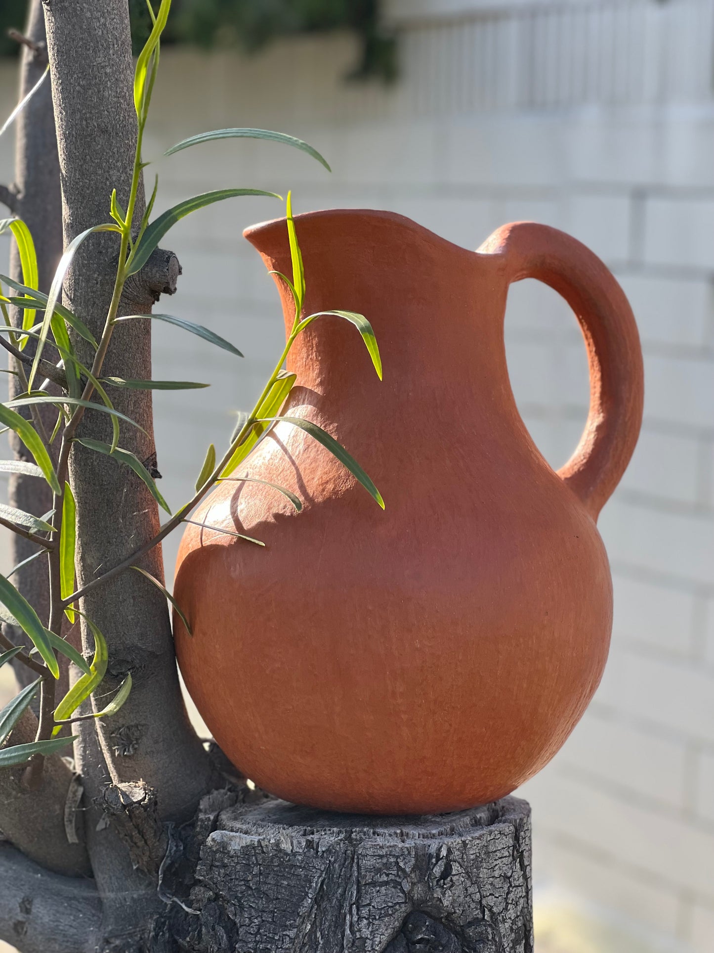 Jarra Pitcher in Barro Rojo