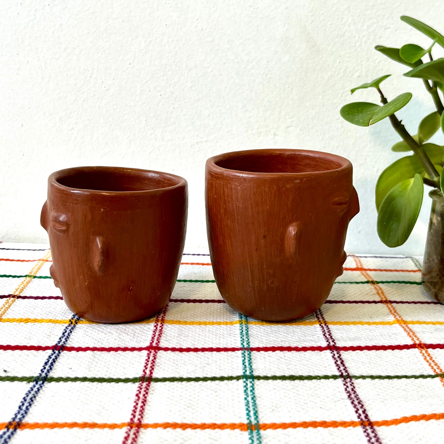 Barro Rojo Small Face Cup