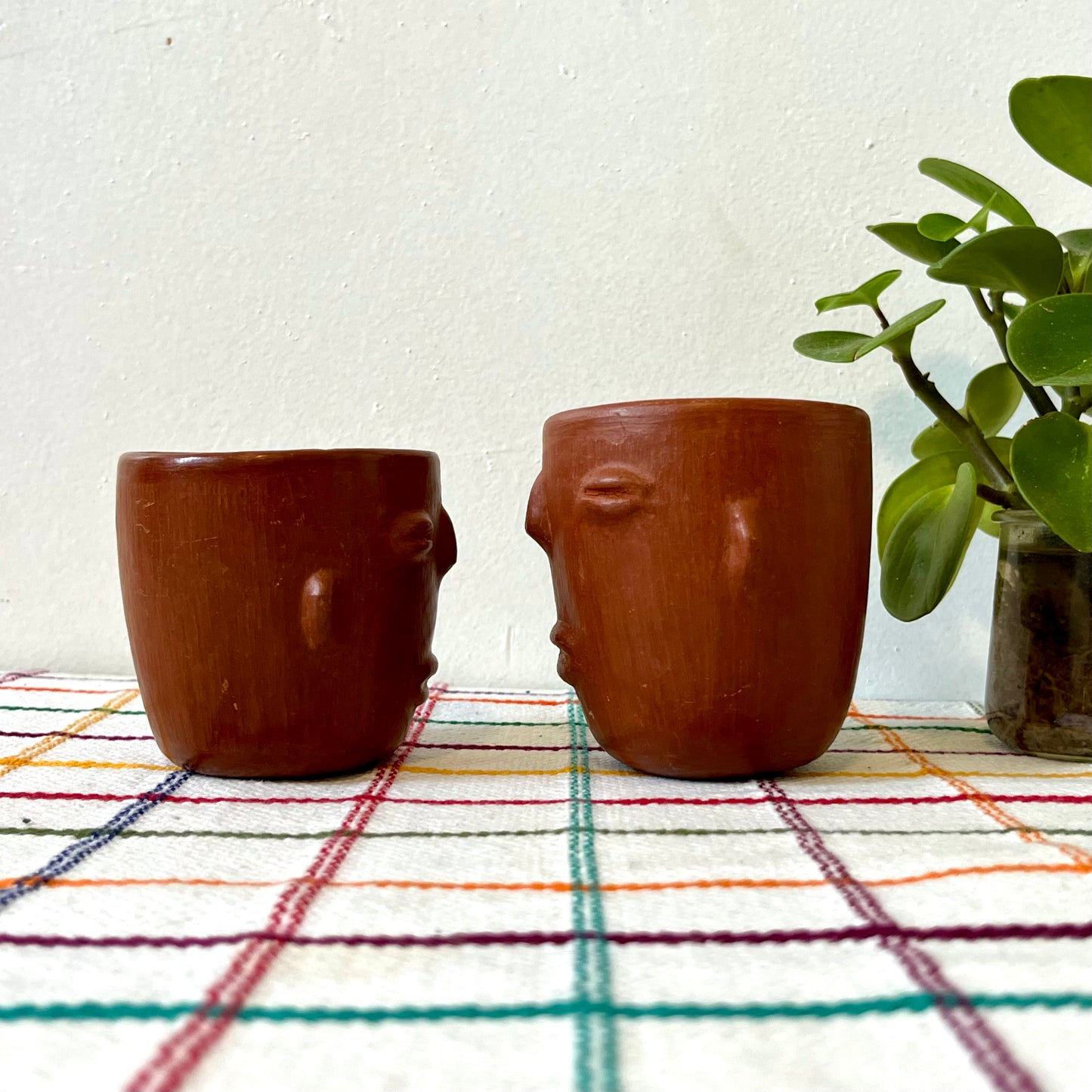 Barro Rojo Small Face Cup