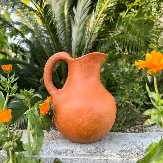 Jarra Pitcher in Barro Rojo